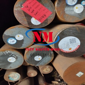 THÉP TRÒN ĐẶC PHI 55