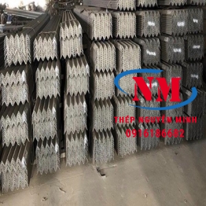 THÉP VÊ ĐÚC INOX 304: V100 x 100 x 10.0 x 6000